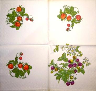 BEE-909 Beeren - 3-lagig